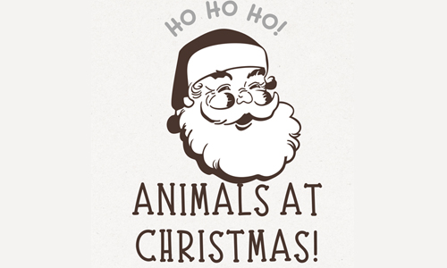 Animals at Christmas